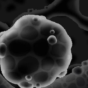 NANO BOTS