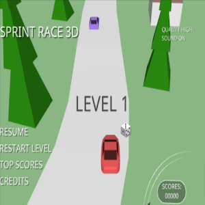 Sprint-Race-3D